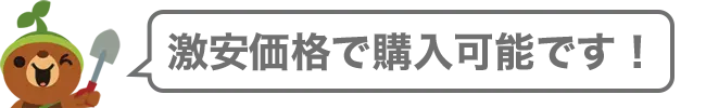 激安価格で購入可能です