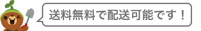 送料無料で配送可能です！